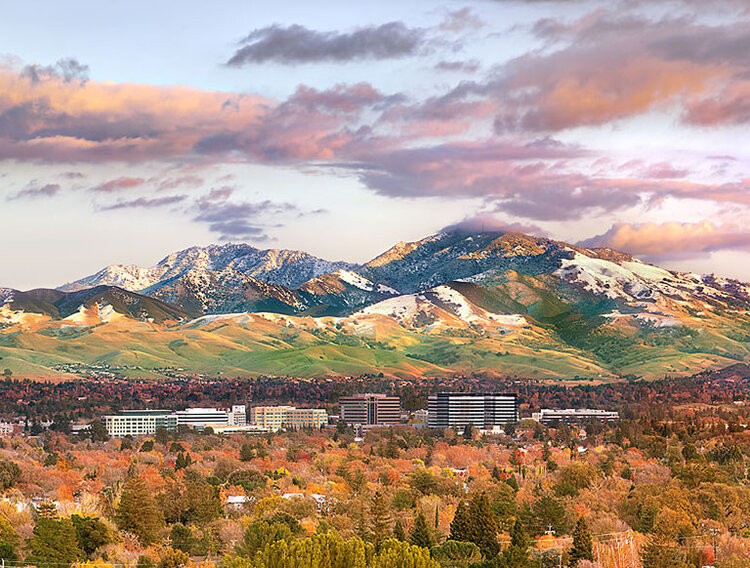 Walnut Creek, CA