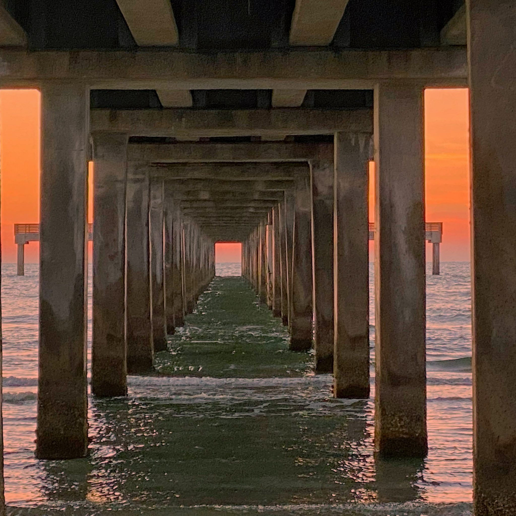 Visit Padre Island